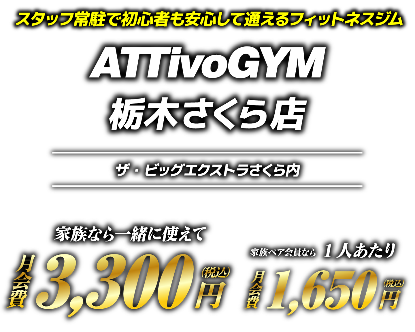 アッティーボジム栃木さくら店